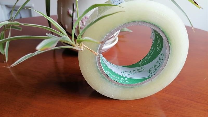 正确选择91免费网站下载供应商，为您节约15%包装成本