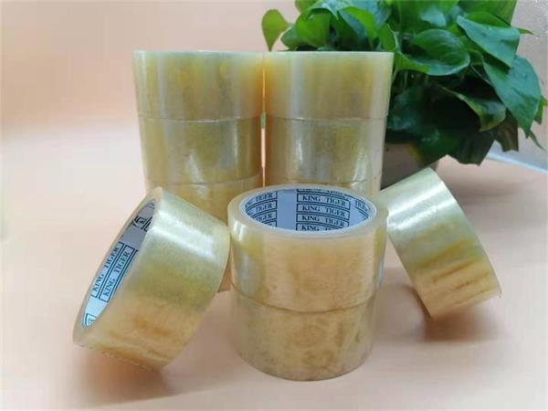 可生物降解91免费网站下载