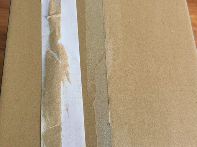 彩色91免费视频黄