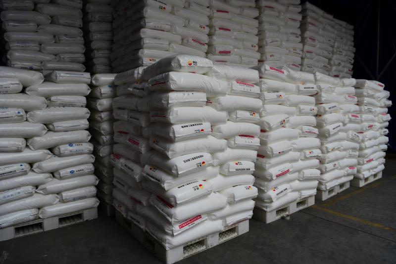 91免费网站大全