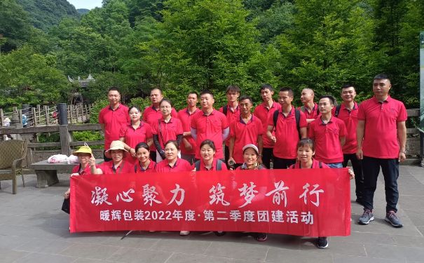 成都91免费网站下载厂家