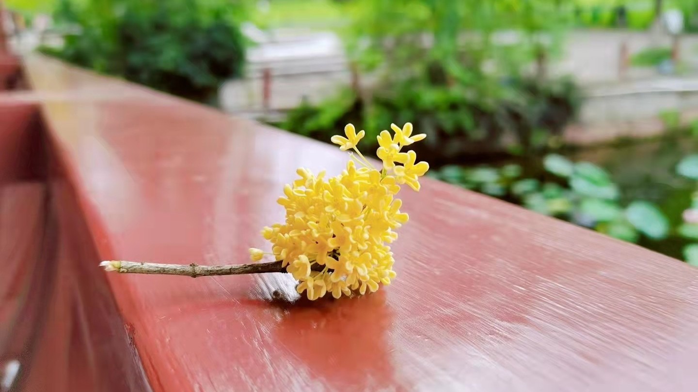 国庆快到了，趁空闲用透明91免费网站下载做些手工！