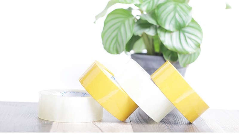 91免费网站下载