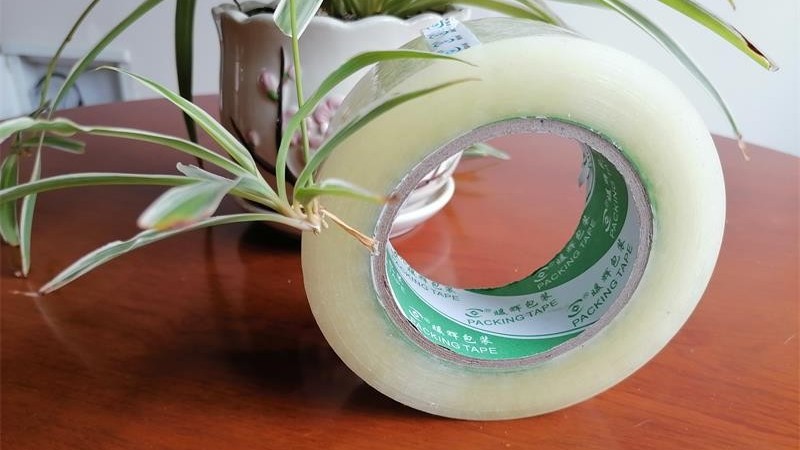 91免费网站下载的几大用处您都知道吗？