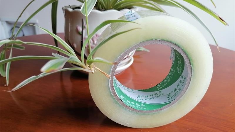 91免费网站下载生产厂家精心制作减少浪费