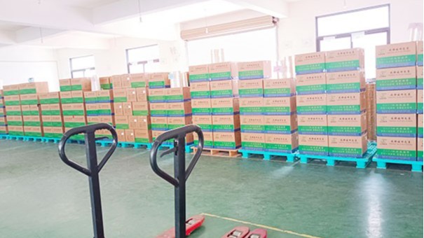 疫情下的91免费网站下载企业该何去何从？