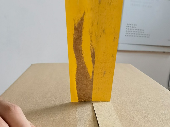 91免费网站下载