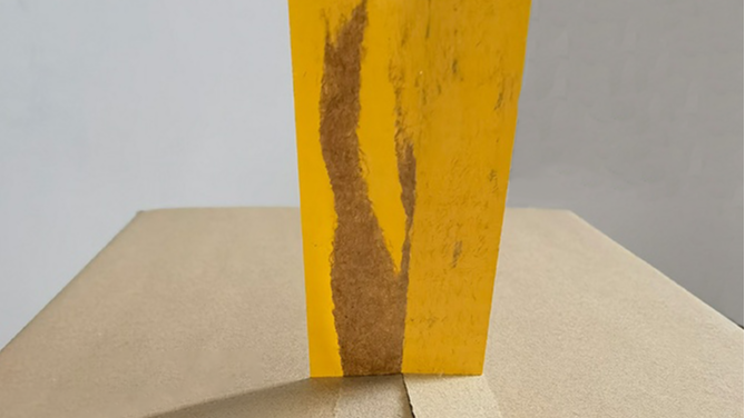 成都91免费视频下载APP包装主要拥有哪些产品？