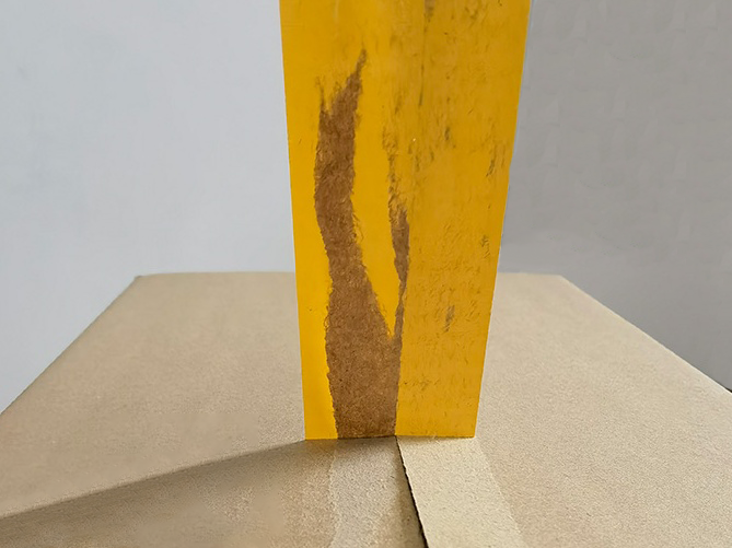 成都91免费网站下载